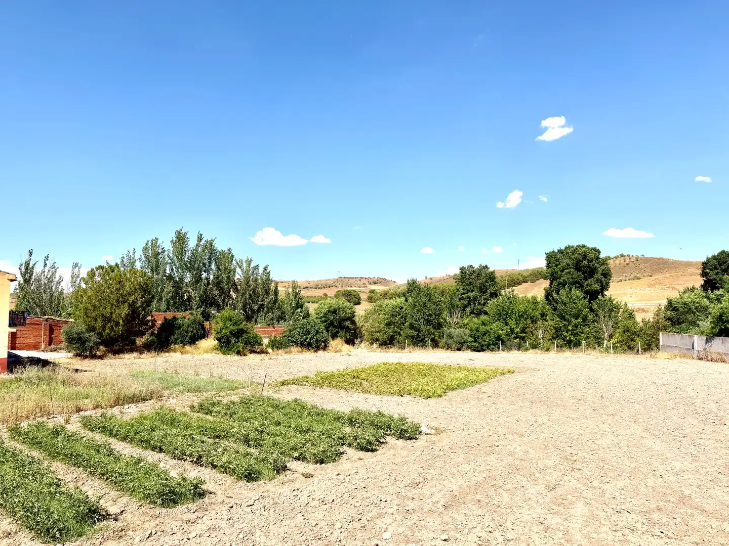 Casa o chalet en venta en El Carpio de Tajo