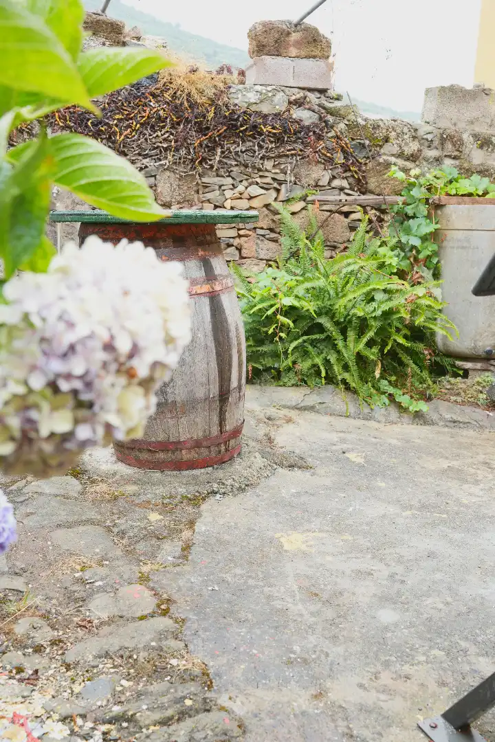 Casa amb jardí en venda a San Juan de la Rambla, imagen 19