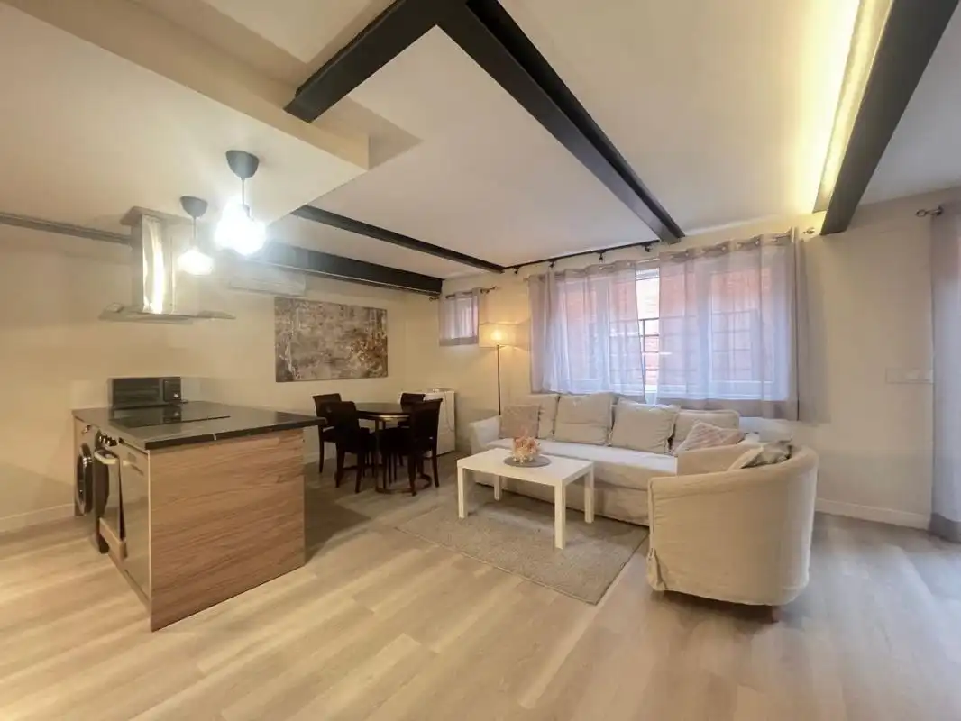Living room of Ground floor for rent in Madrid  with Air Conditioner, Heating and Furnished