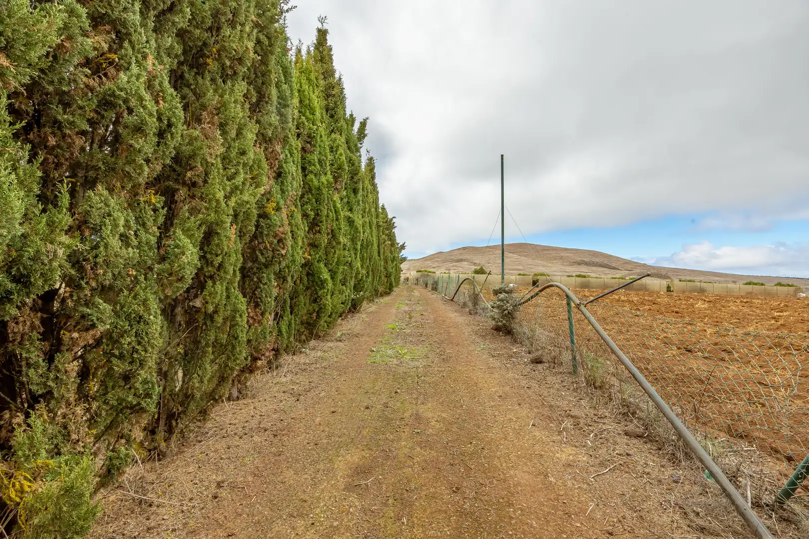 Residencial en venta en Lugar Lomo del Poleo, Saucillo - Fagajesto - Juncalillo