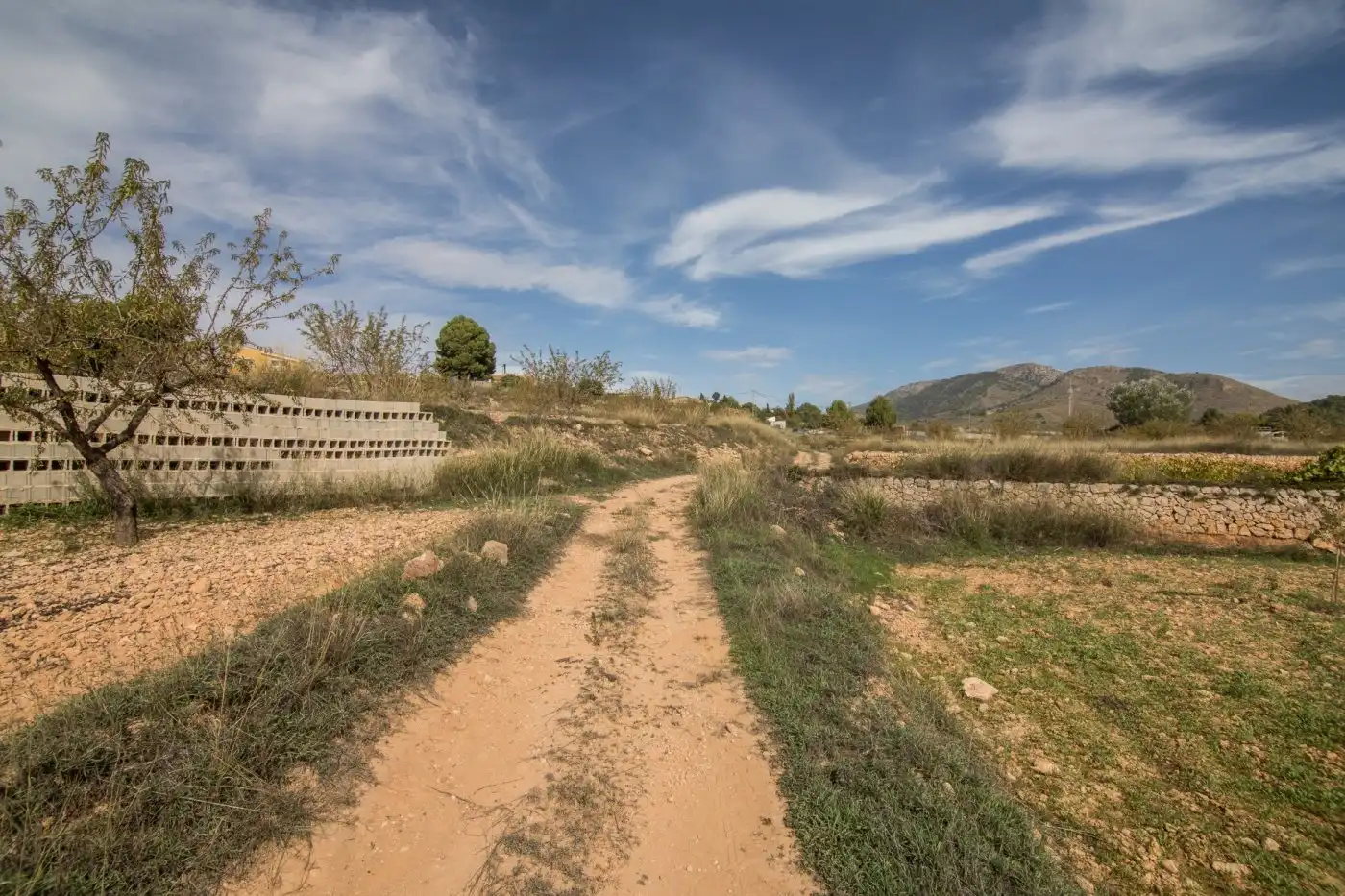 Grundstücke zum Verkauf in Algueña