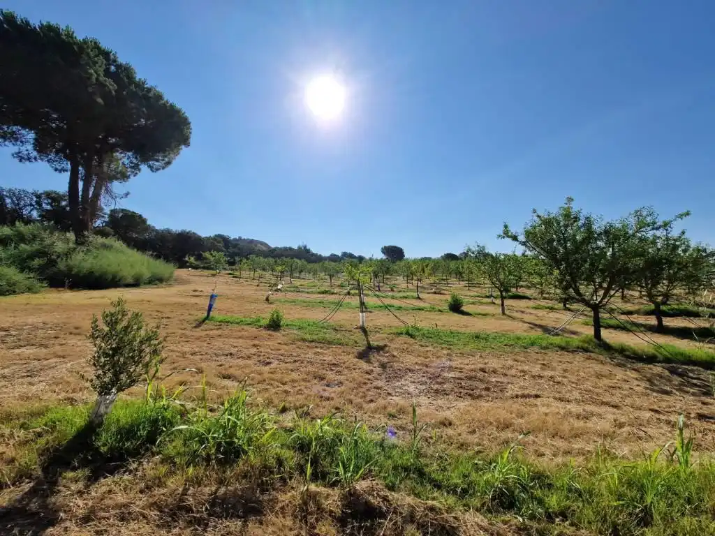 Terreno en venta en Binaced