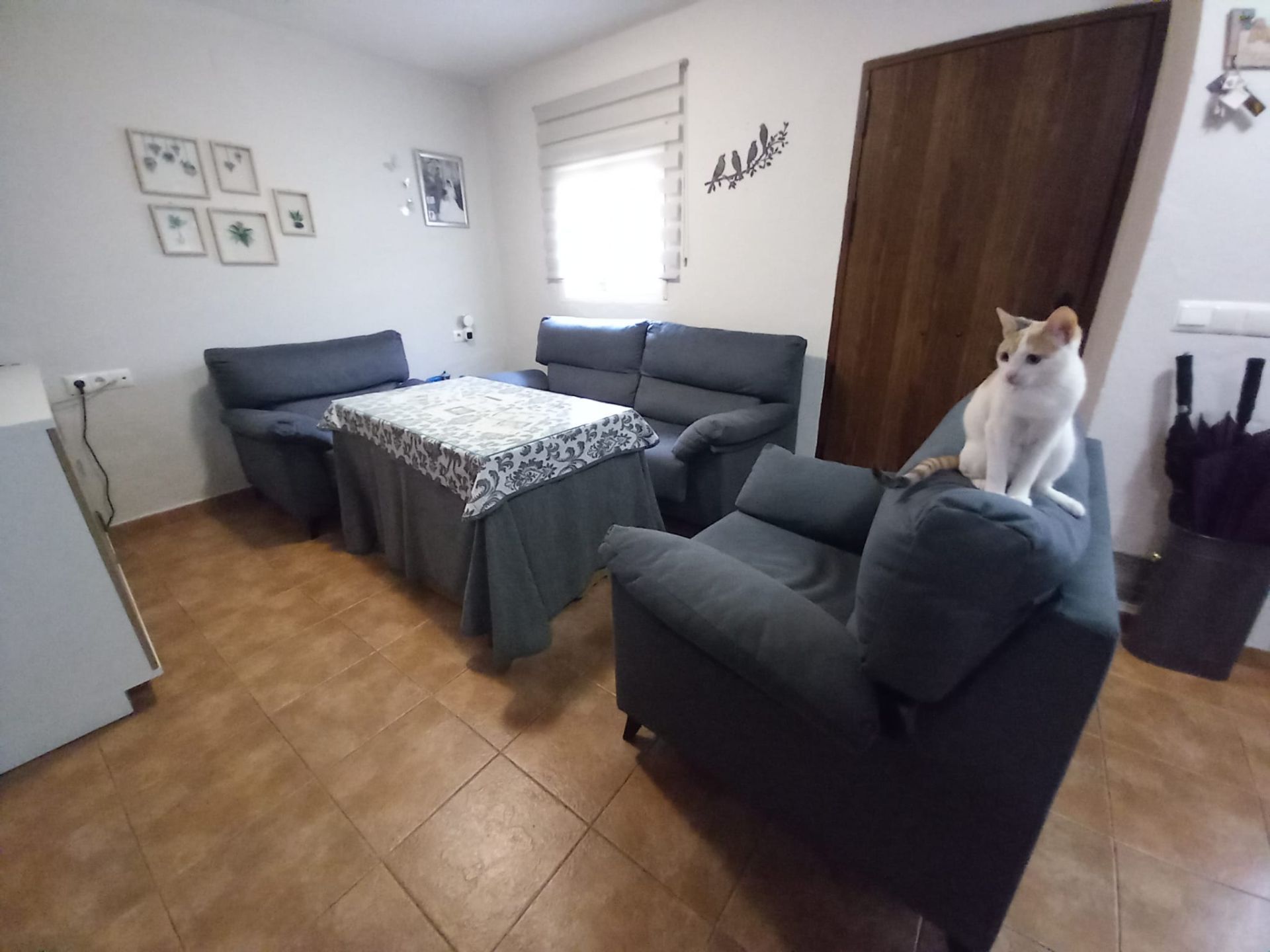 Sala de estar de Finca rústica en venta en Arriate con Terraza y Amueblado