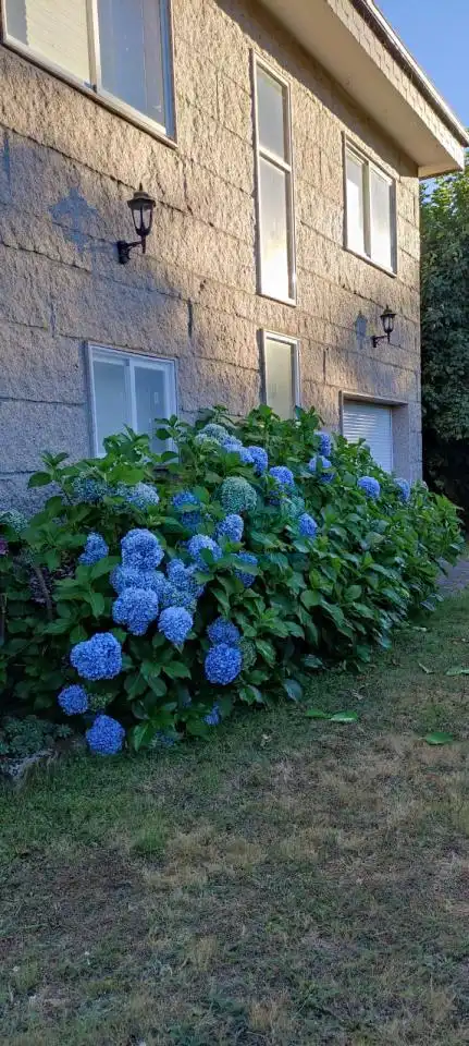 Casa con terrazza in vendita a Esgos, imagen 62