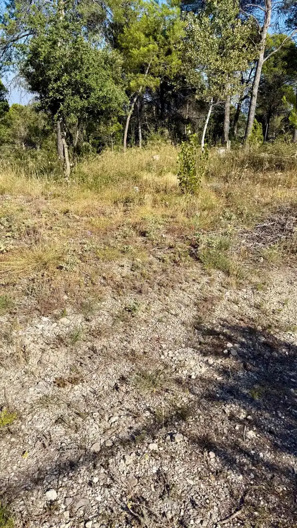 Residential land for sale in Avenida l'Onze de Setembre 22, imagen 6