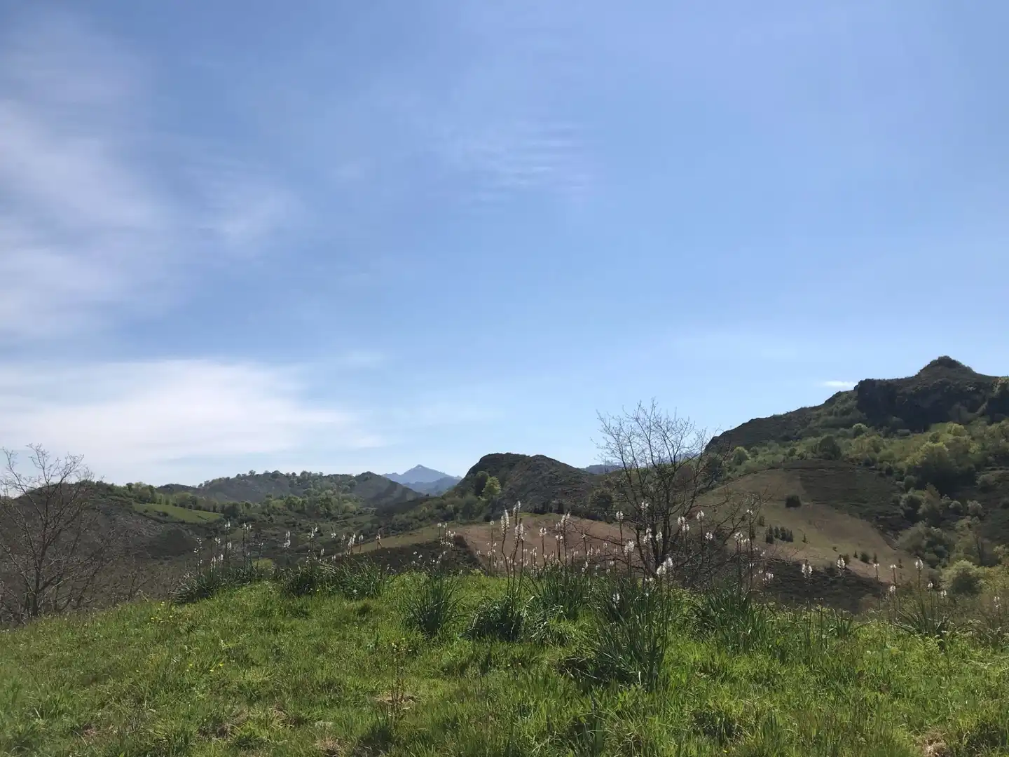 Terreno rustico in vendita a Cangas de Onís, imagen 18