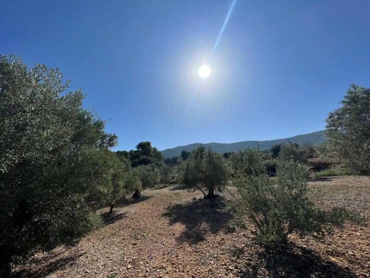Chalet en venta en Banyeres de Mariola, imagen 17