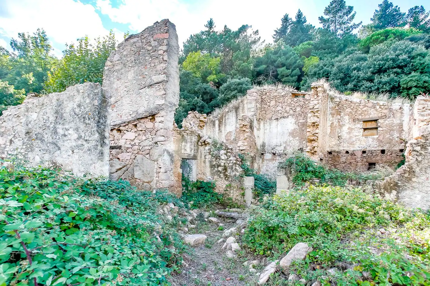 Vista exterior de Finca rústica en venta en Arbúcies con Calefacción, Terraza y Trastero