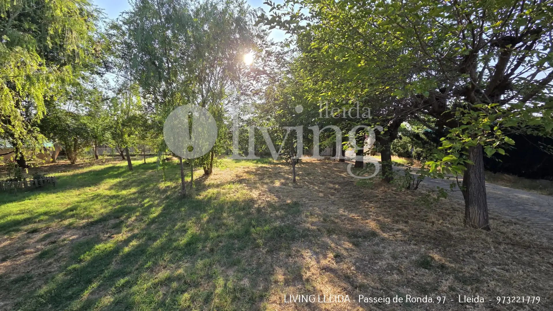 Casa con piscina en venta en Partida Terme de Grealo, imagen 40