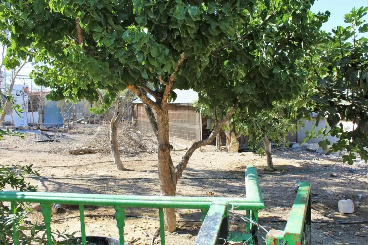 Casa o xalet en venda a Desamparados - Hurchillo - Torremendo