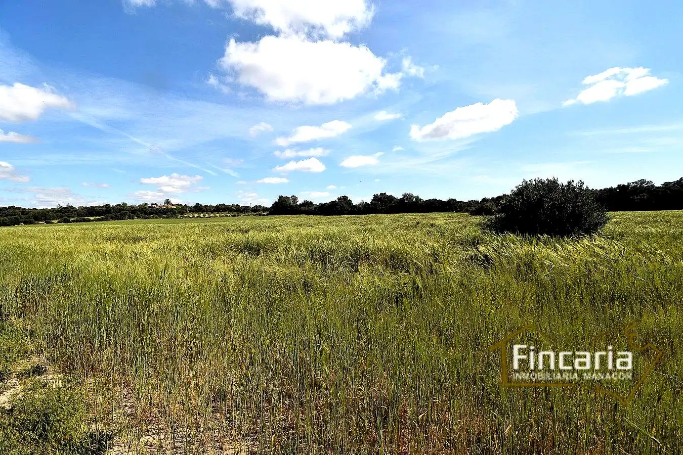 Lands and plots for sale in Ma-5120, imagen 4