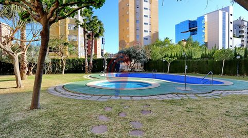 Foto 4 de Planta baixa en venda a Calle Maestro Jesús Lucas Macià, 11, Puerto Deportivo, Guardamar del Segura