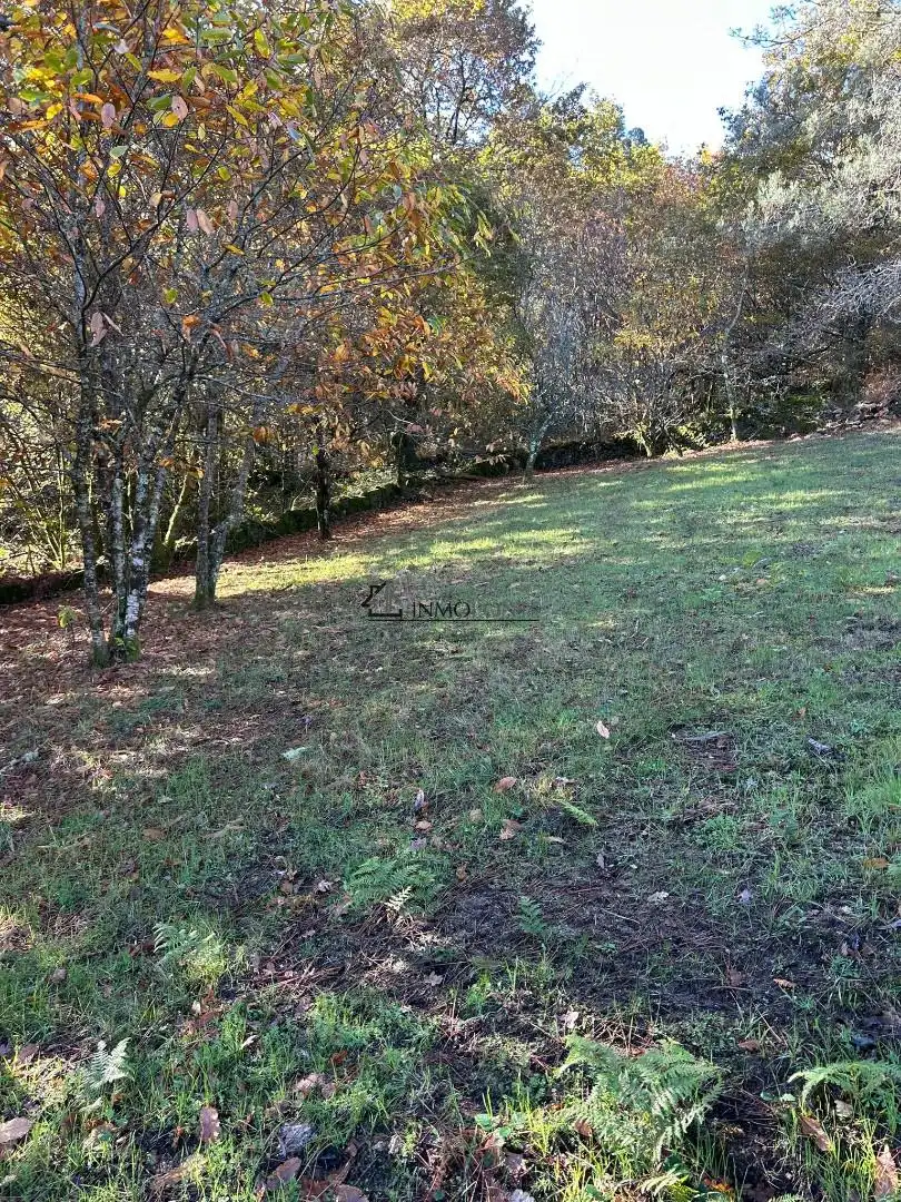 Casa o xalet en venda en Cerdedo amb Jardí privat