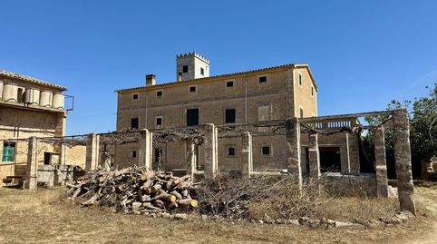 Foto 5 de Finca rústica en venta en Marina, Algaida, Illes Balears