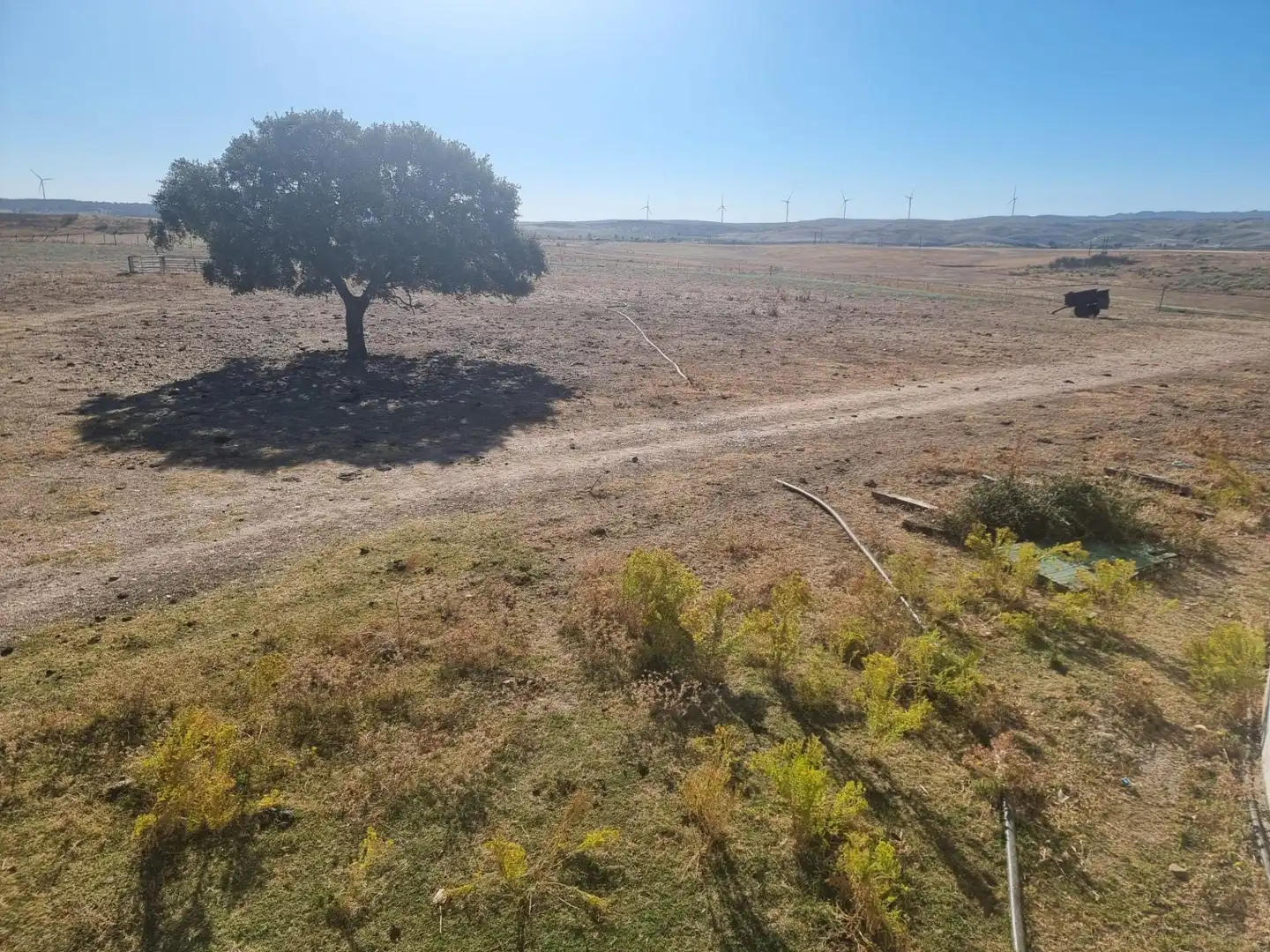 Land for sale in Riolobos