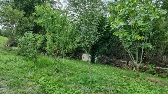 Terreny residencial en venda a Lugar Rañeces 14A, imagen 14