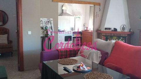 Foto 3 de Finca rústica en venda a Zona Centro,  Córdoba Capital