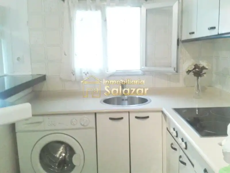 Cuina de Apartament de lloguer en Bilbao  amb Calefacció i Microones