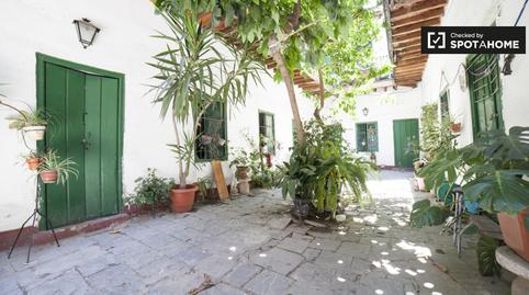 Photo 5 of Apartment to share in San Gil, Sevilla