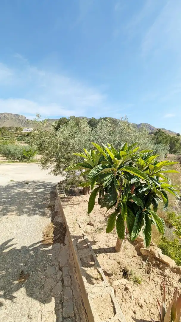 Casa con jardín en venta en Hondón de las Nieves / El Fondó de les Neus, imagen 58