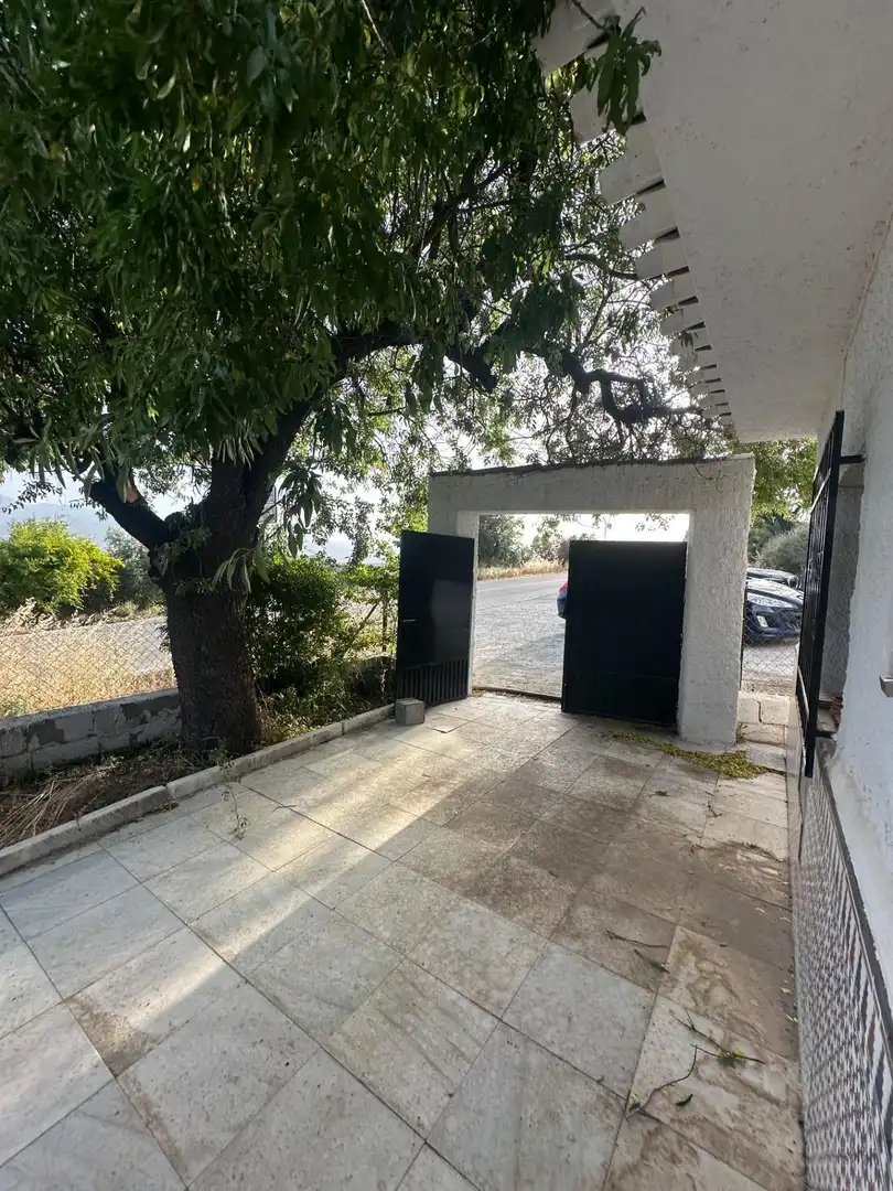 Vista exterior de Finca rústica en venta en Somontín