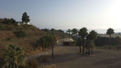 Foto 4 de Finca rústica en venda a Mezquitilla, Vélez-Málaga
