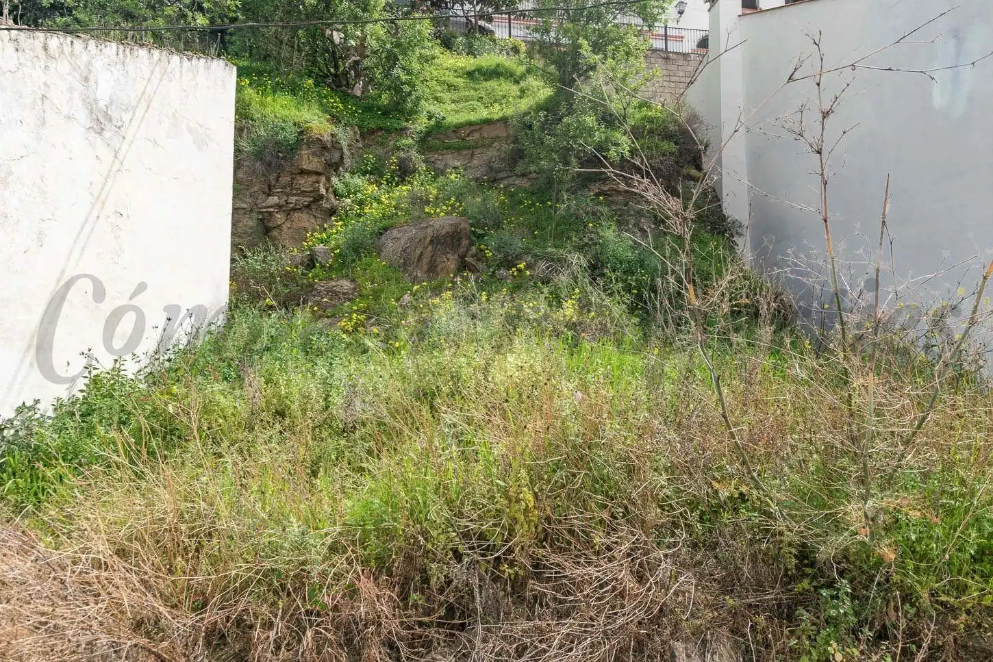 House with garden for sale in Sayalonga, imagen 2
