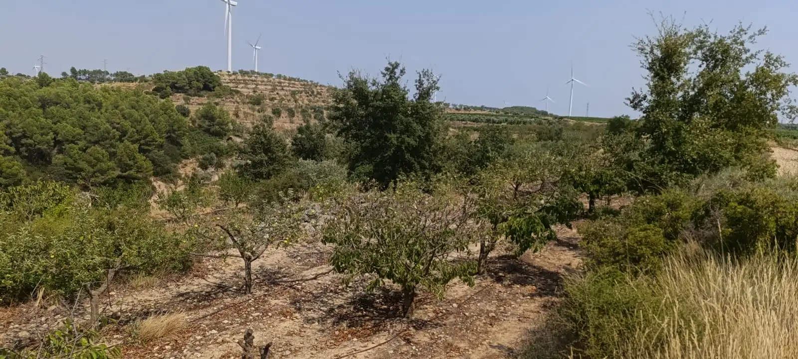 Residencial en venda en Vilalba dels Arcs