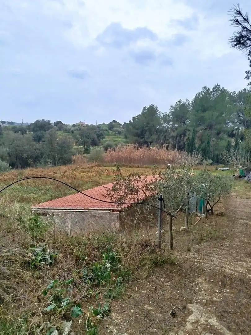 Rural land for sale in Ginestar, imagen 68