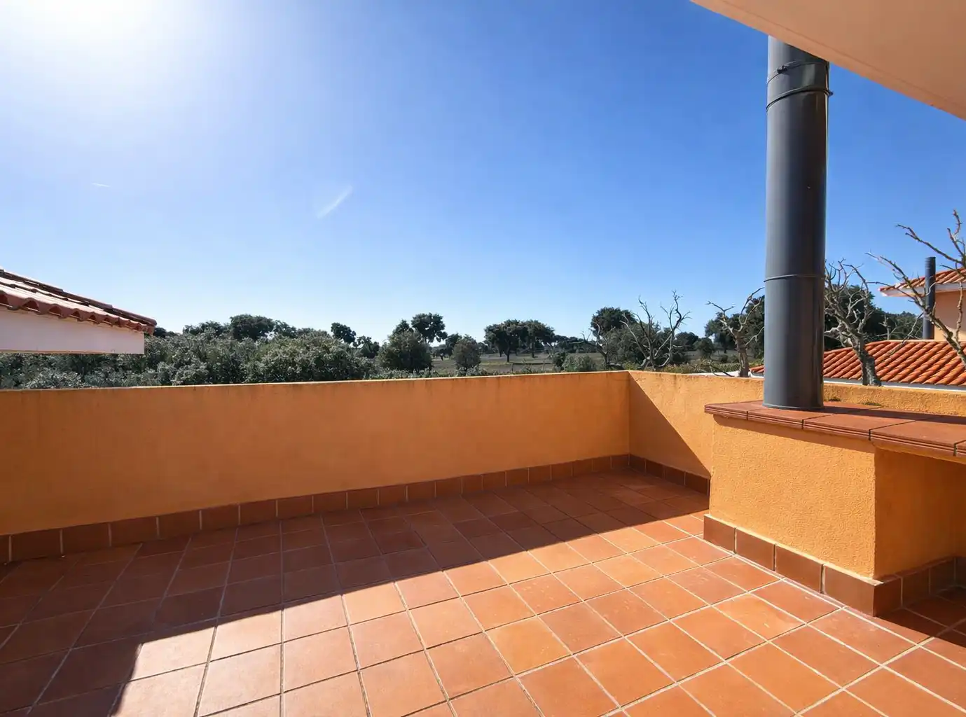 Terraza de Casa o chalet en venta en Carrascal de Barregas con Jardín privado y Terraza
