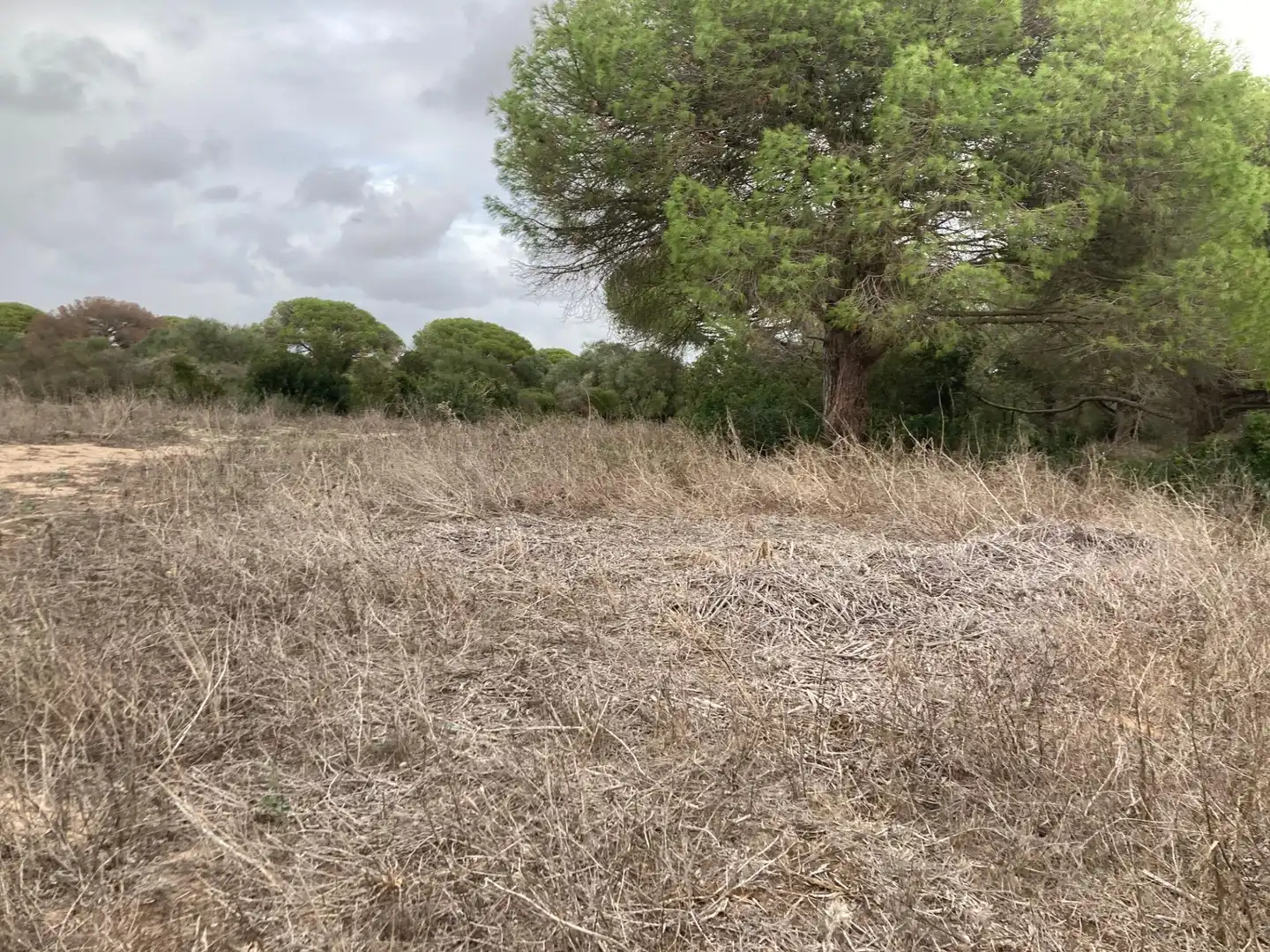 Grundstücke und Bauplätze zum Verkauf in Vejer, imagen 5