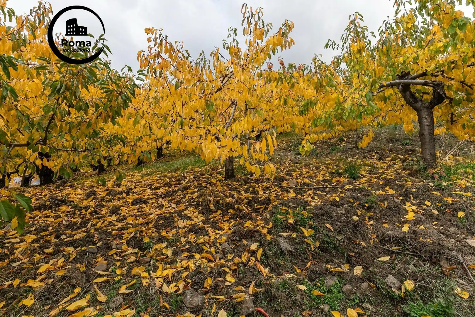 Lands and plots for sale in Güéjar Sierra, imagen 7