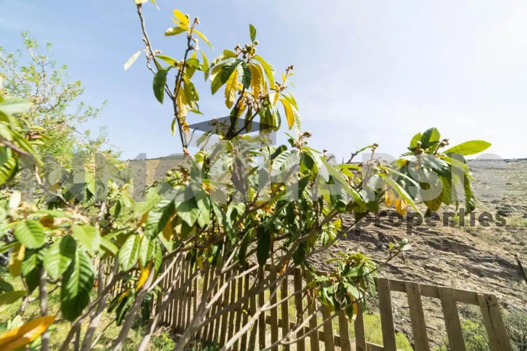 Casa o xalet en venda en Abrucena amb Jardí privat, Terrassa i Moblat