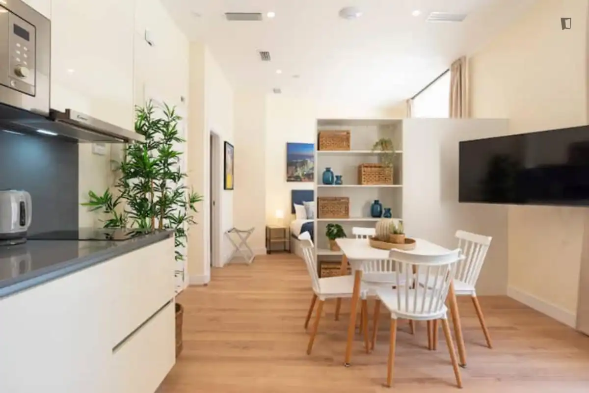 Study for rent in La Malagueta - Monte Sancha
