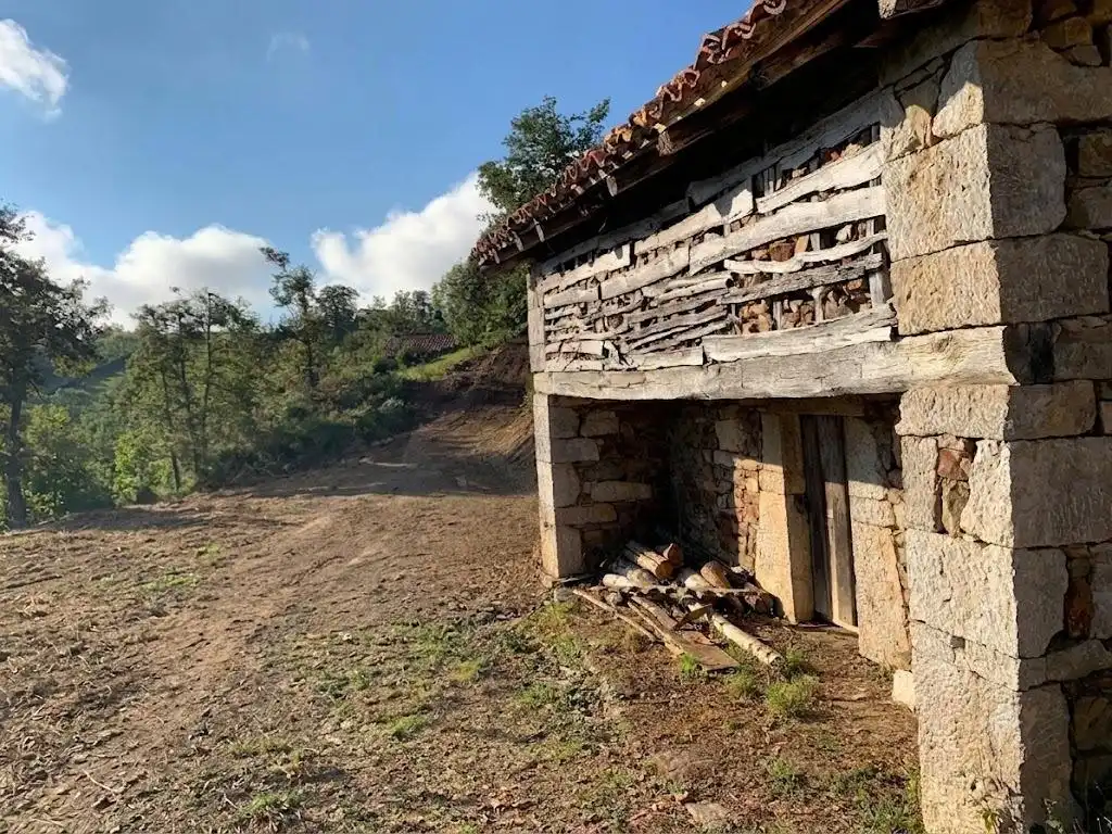 Casa con jardín en venta en Quirós, imagen 5
