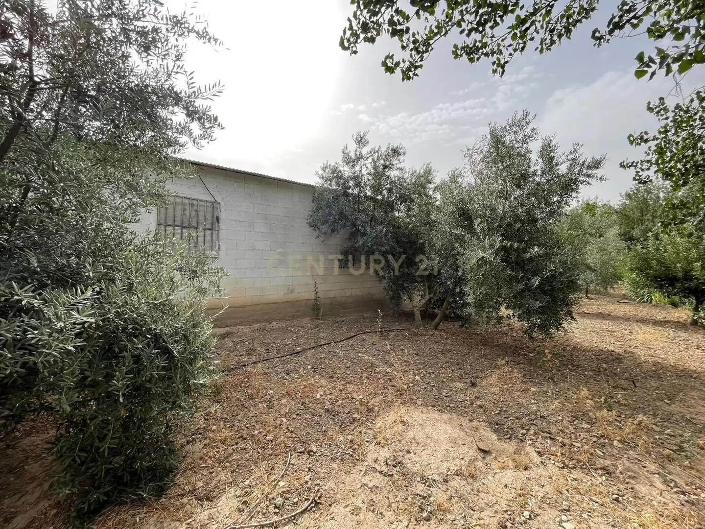 Rustikales Grundstück zum Verkauf in 18260 Íllora, Spain, imagen 21