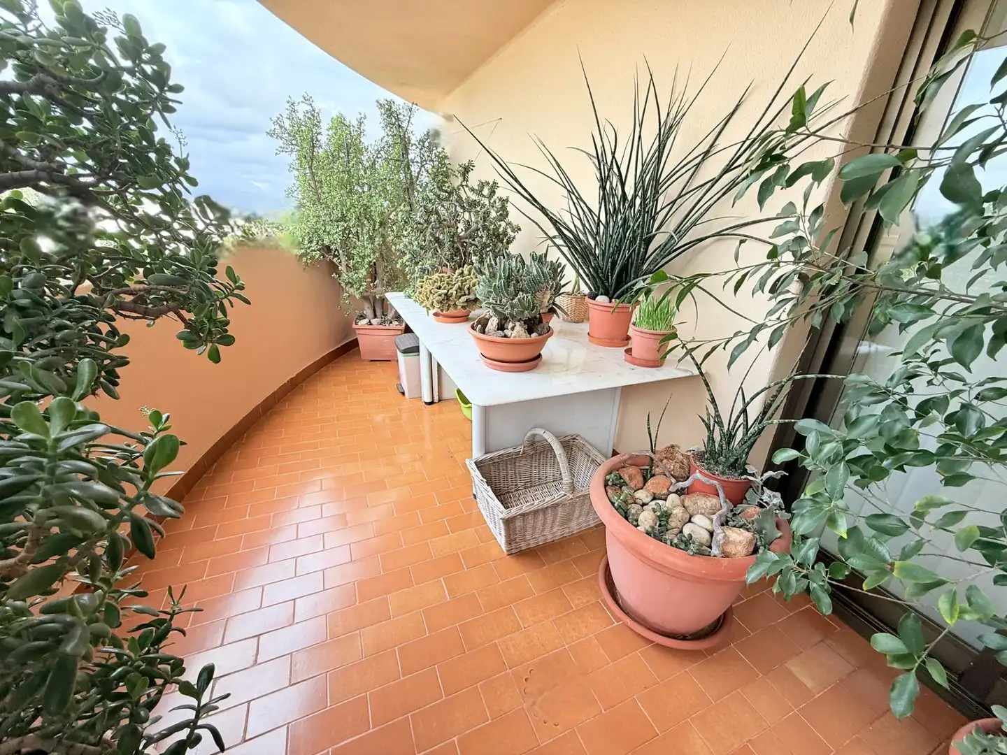 Terrassa de Pis en venda en  Palma de Mallorca amb Aire condicionat, Jardí privat i Parquet