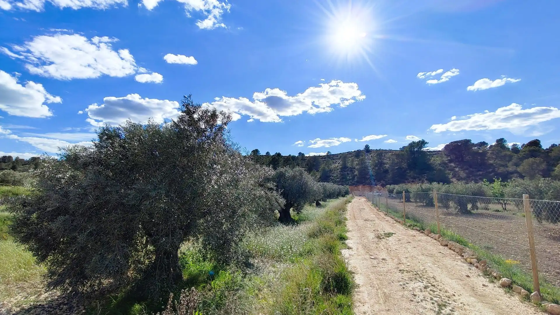 Grundstücke zum Verkauf in Jumilla