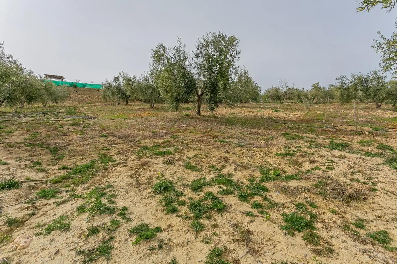 Casa o chalet en venta en Albuñuelas con Aire acondicionado, Jardín privado y Terraza