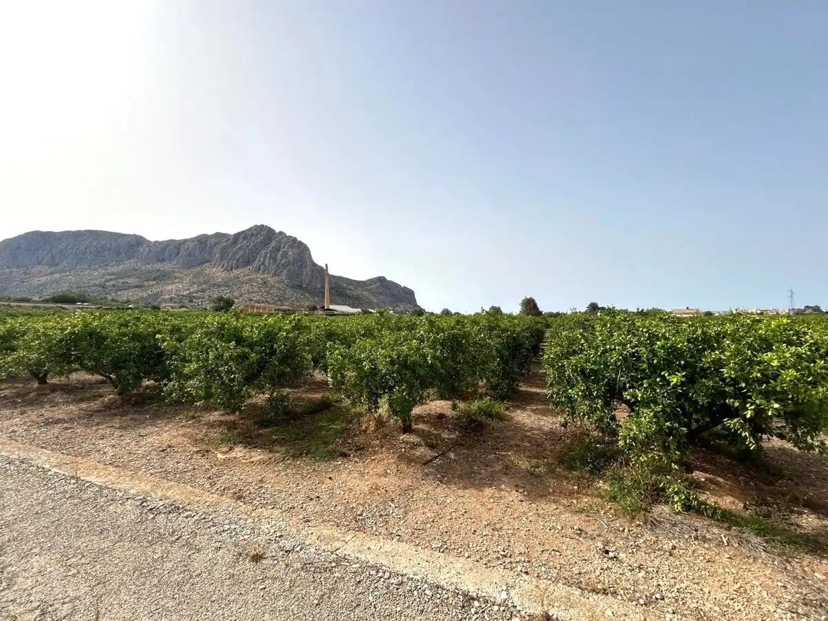 Chalet en venta en Ondara, imagen 40