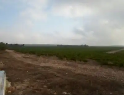 Terreno en venta en Partida de Alhorines, Partidas Norte