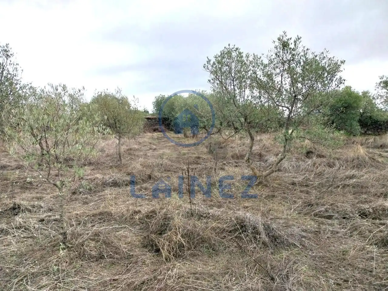 Lands and plots for sale in Fuente Obejuna, imagen 10