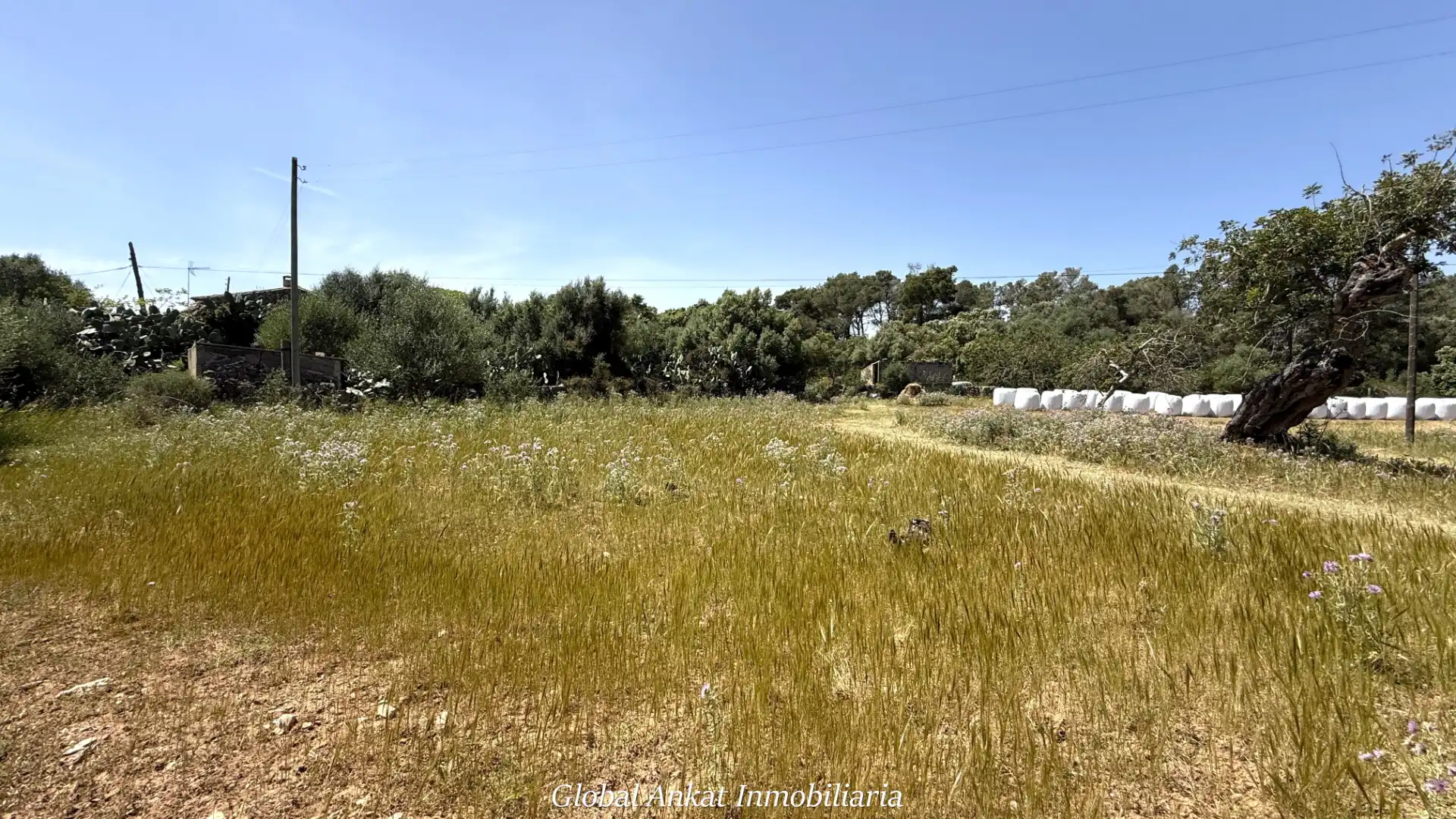 Casa rustica con giardino in vendita a Felanitx Poble, imagen 13
