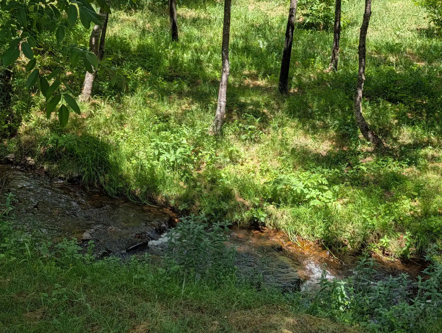 Land for sale in Zorraquín