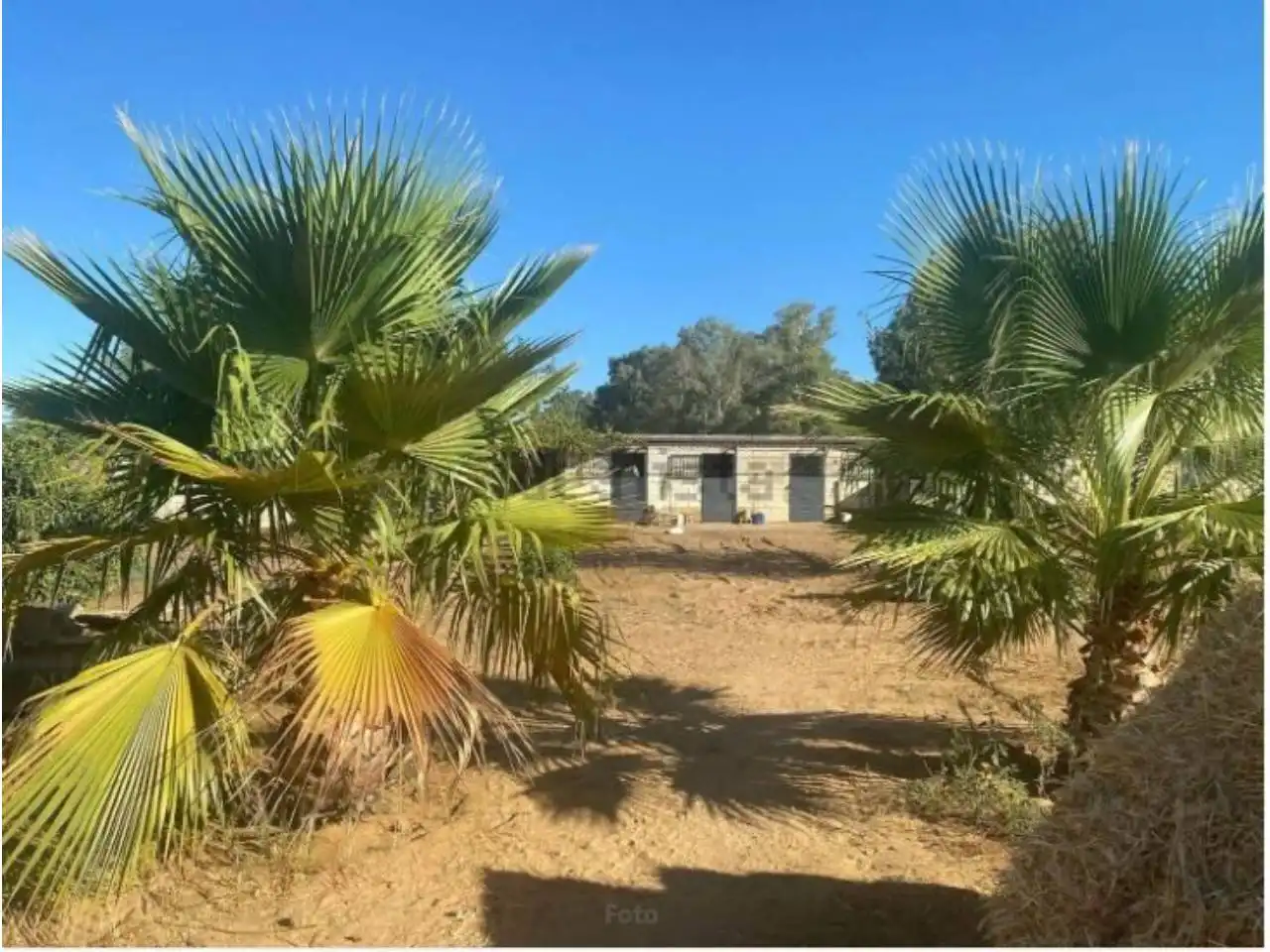 Chalet con piscina en venta en Urbanizacion Regidor, imagen 11