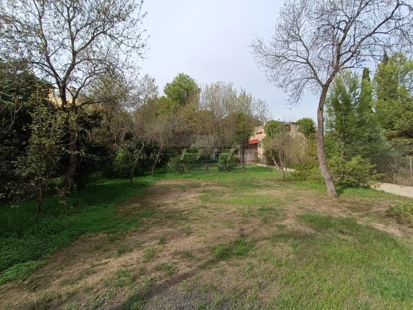 Terreno residenziale in vendita a Campolivar, imagen 8