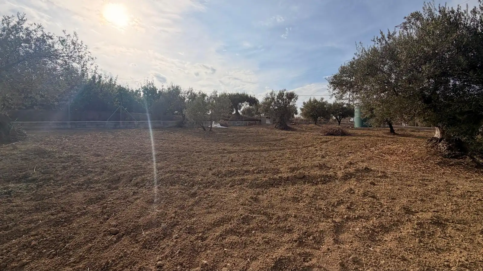 Rural land for sale in El Romeral - Peñón de Zapata, imagen 4