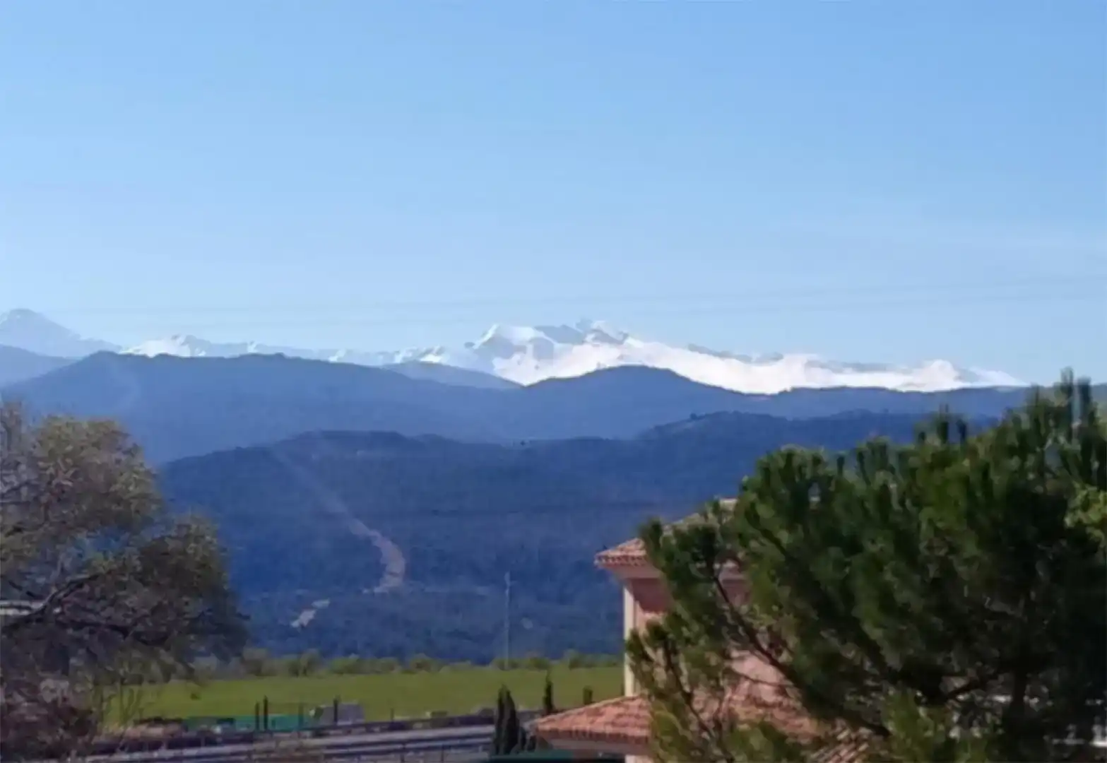 Vista exterior de Finca rústica en venta en Diezma con Jardín privado, Parquet y Piscina