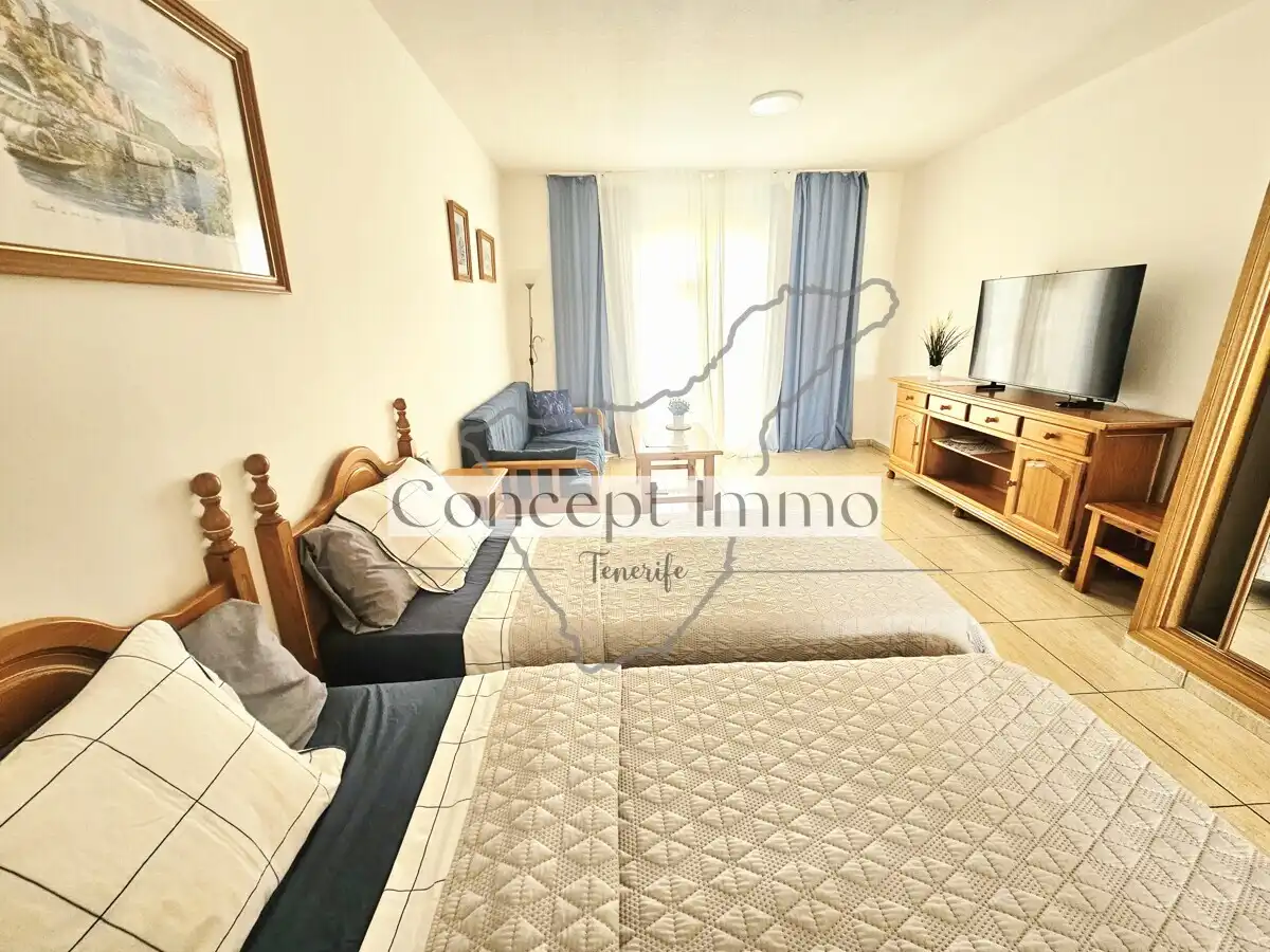 Studio mit Terrasse zum Verkauf in Calle de la Te, imagen 20