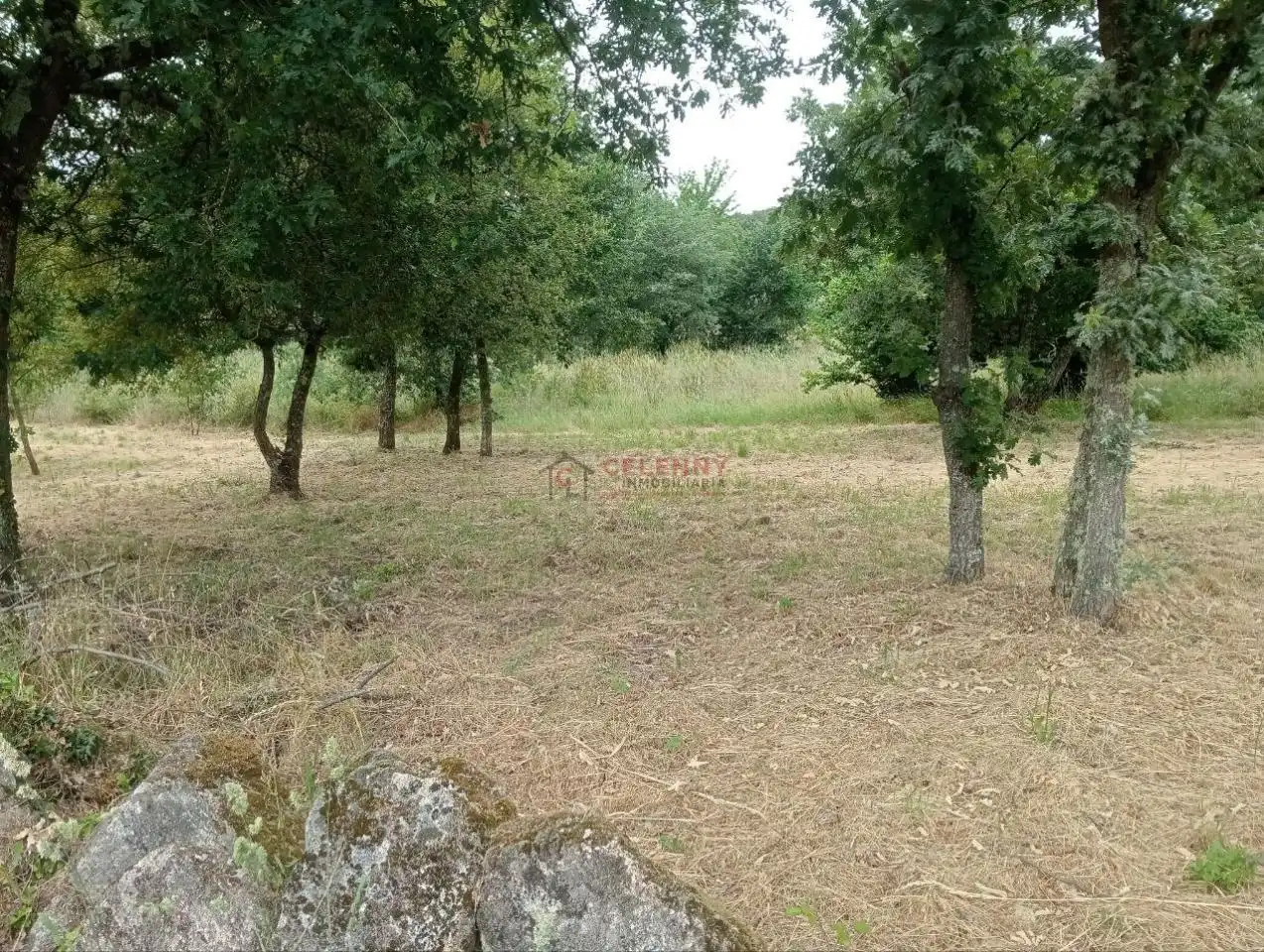 Terreni e lotti in vendita a San Cibrao das Viñas, imagen 15